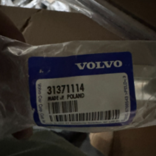 Belt Molding – Volvo (31371114)